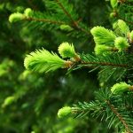 photo_5246718962484497464_y