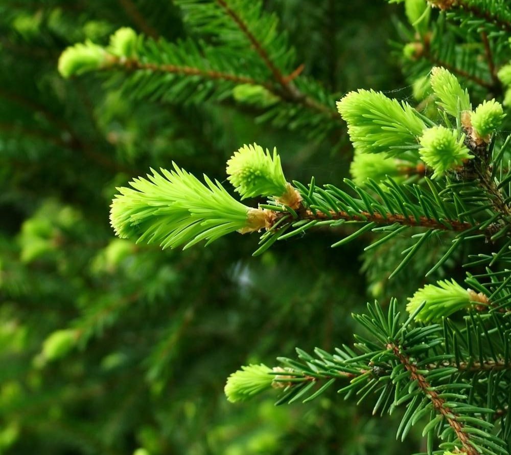 photo_5246718962484497464_y